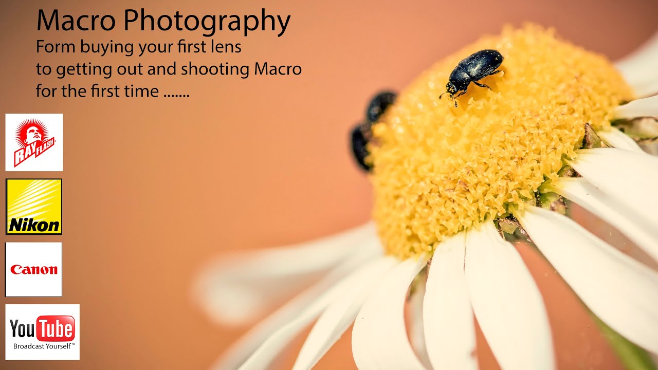 Shooting Macro Photography Sigma 105mm macro lens