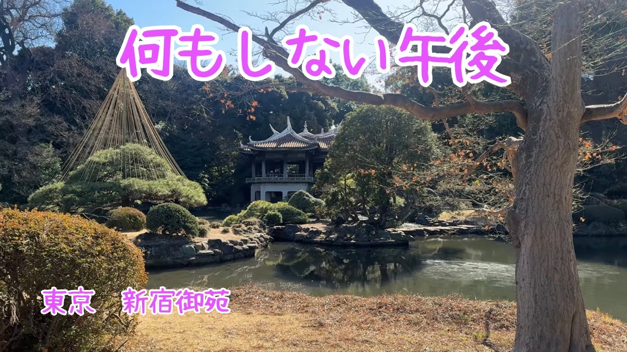 Spiritual Tokyo｜街と静けさのあいだ 〜新宿御苑〜　January 2026