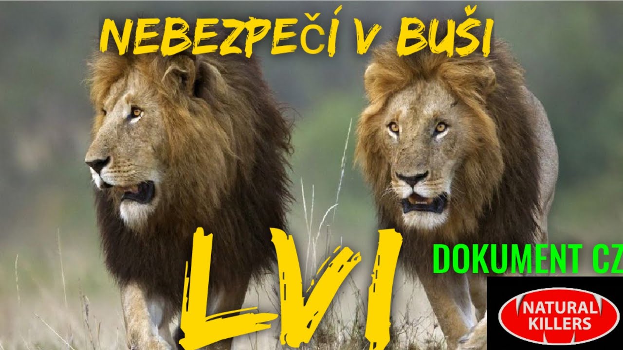 04 LVI - Nebezpeč&iacute; v bu&scaron;i (DOKUMENT - Pred&aacute;toři zbl&iacute;zka)
