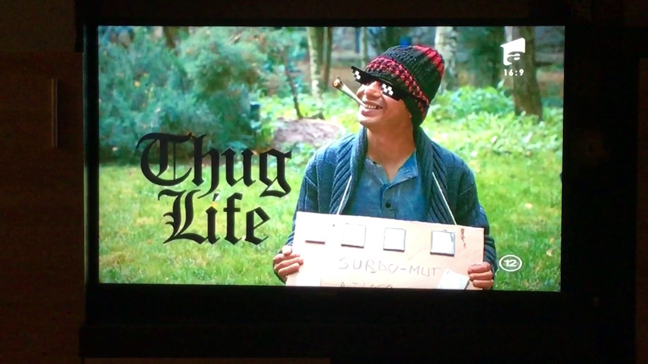 In puii mei - 2 noiembrie 2016 - faze cu cersetori