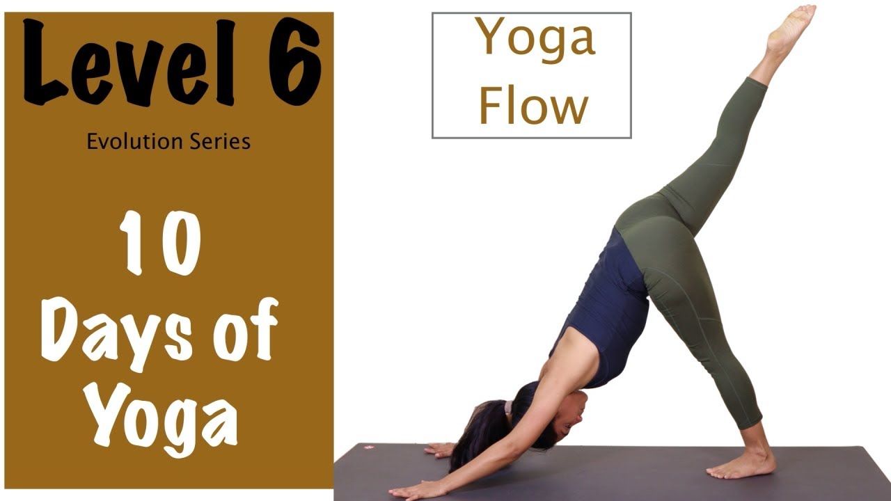 Level 6 - Yoga For Beginners - Yoga Flows - Evolution Series - Yogbela