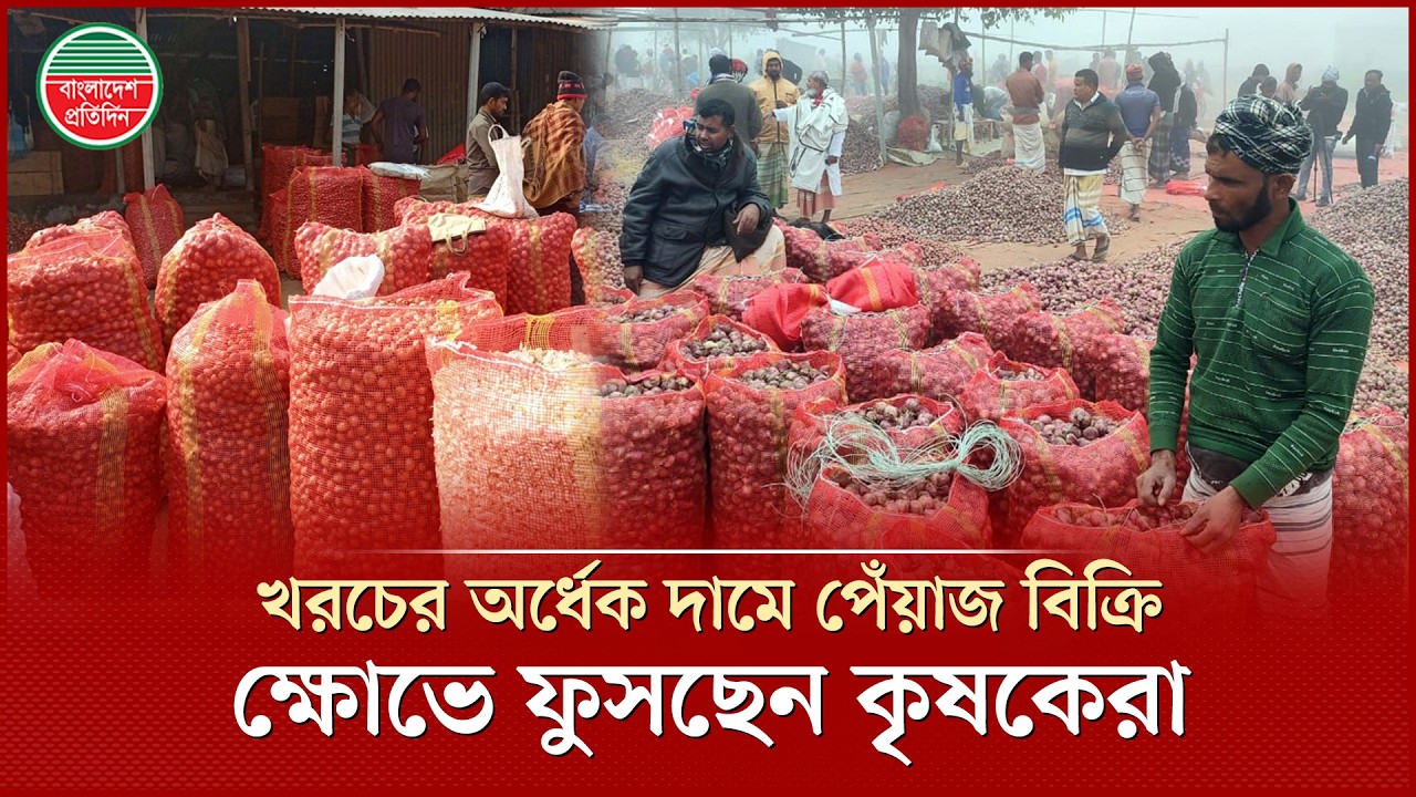 পেঁয়াজের উৎপাদন খরচ ১৬০০ টাকা, কৃষকের বিক্রি করতে হচ্ছে ৮০০ থেকে ৯০০ | Onion Price