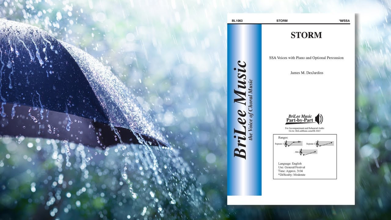 Storm (BL1063) by James DesJardins