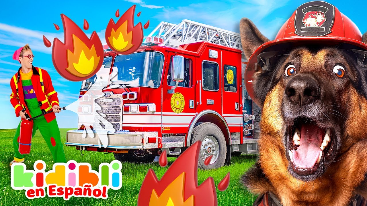 Recopilación de perros bomberos para niños | Vídeos educativos para niños | Kidibli