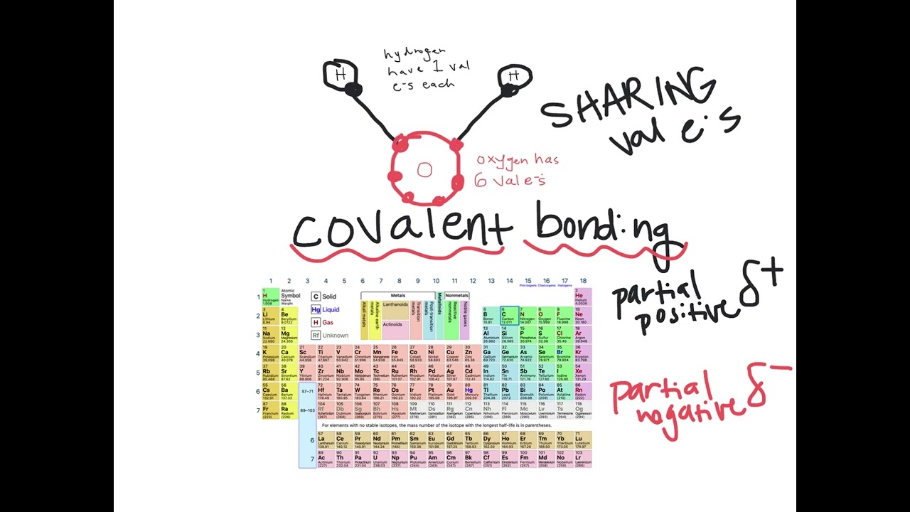 partial positive and negative L3.2