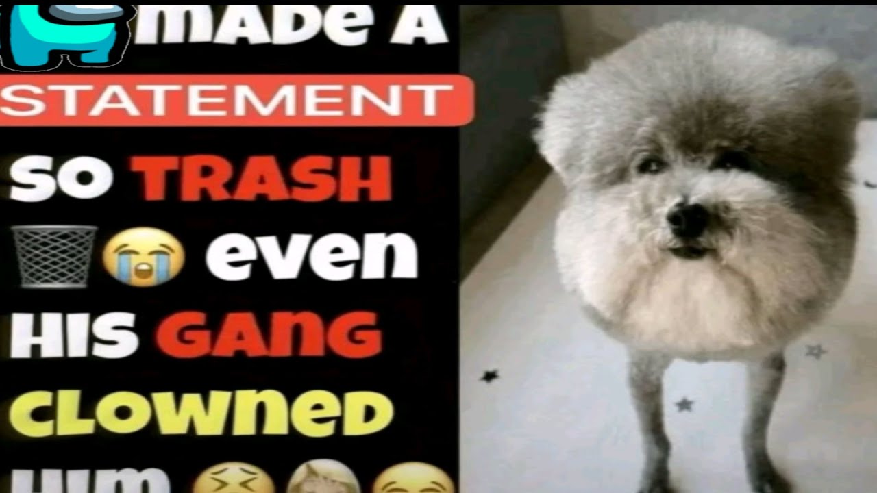 CYAN MADE A STATEMENT SO TRASH EVEN HIS GANG CLOWNED HIM | (Among Us) 