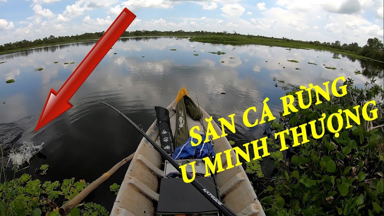 CÂU CÁ LÓC RỪNG U MINH THƯỢNG MỒI GIẢ  VÀ THẬT ĐỀU LÊN CÁ -  POU PHUNG FISHING