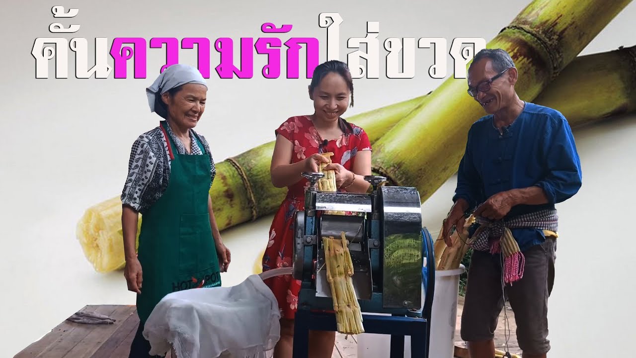 การปลูกอ้อยคั้นน้ำ ตอนที่ 2/2 คั้นน้ำอ้อยคั้นความรักจากหัวใจ
