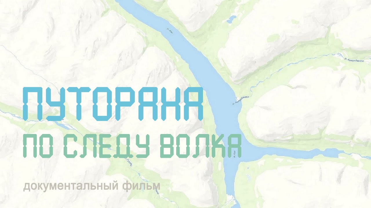Сибирь. Плато Путорана. Озеро Аян. По следу волка. Nature of Russia.
