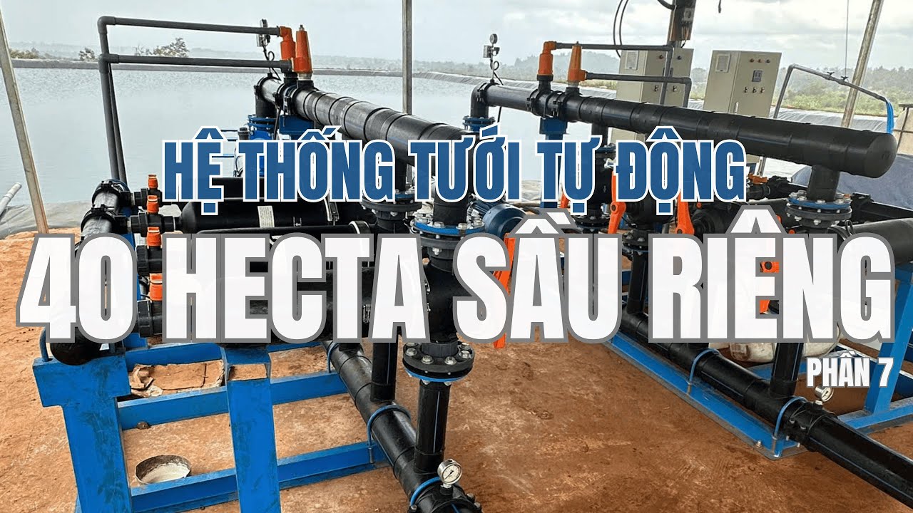 Hồ bạt chứa nước dễ rách, đầu là nguyên nhân? 🌱| DỰ ÁN THỰC TẾ