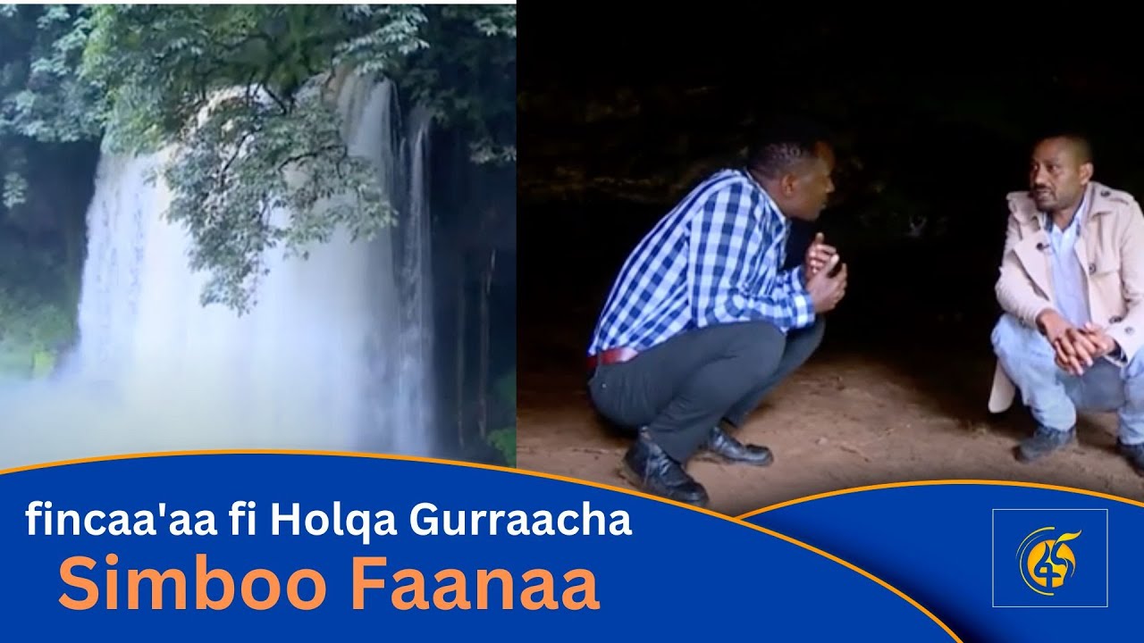 fincaa'aa fi Holqa Gurraacha -Simboo Faanaa