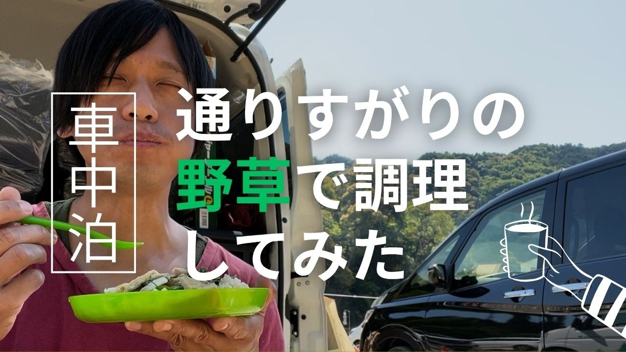 【野草術】車中泊めし！～キャンプ場で食べられる野草を集めてみた～I collected eatable wild grass at the campsite.