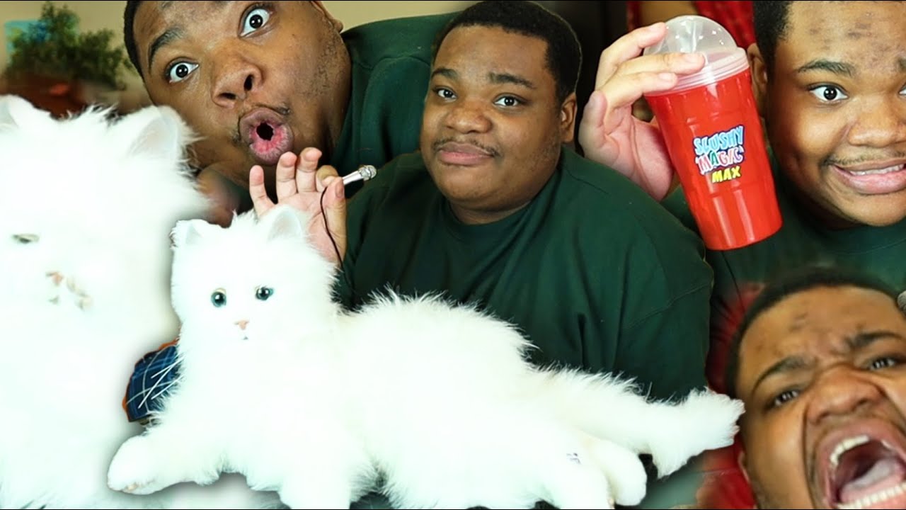 The Robotic Cat Was Fixed and I still Regret It (Ft. Slushy Magic)