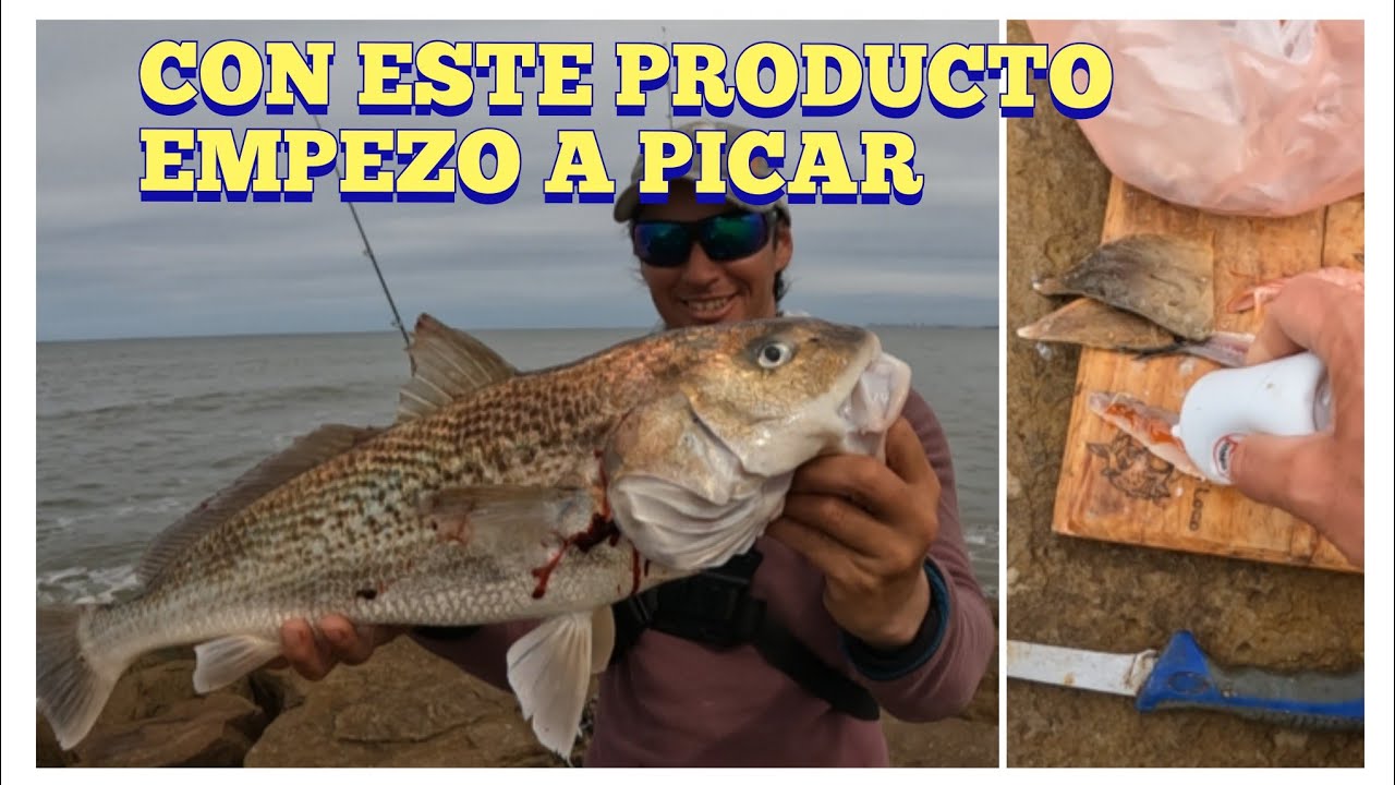 LE HECHAMOS ESTE PRODUCTO Y NOS EMPEZO A PICAR!!! QUE TIENE ESTO!! PESCA VARIADA