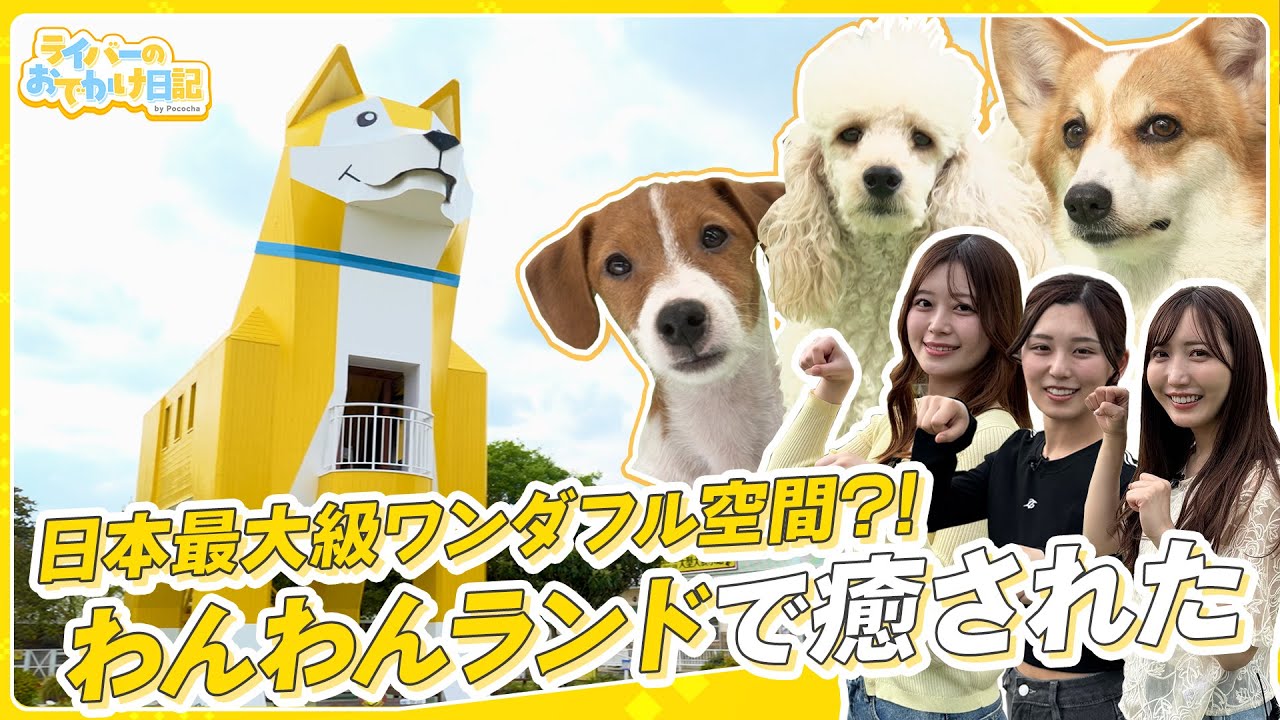 【つくばわんわんランド】可愛いがいっぱい！犬ネコ天国で癒されました【癒し/Pococha】