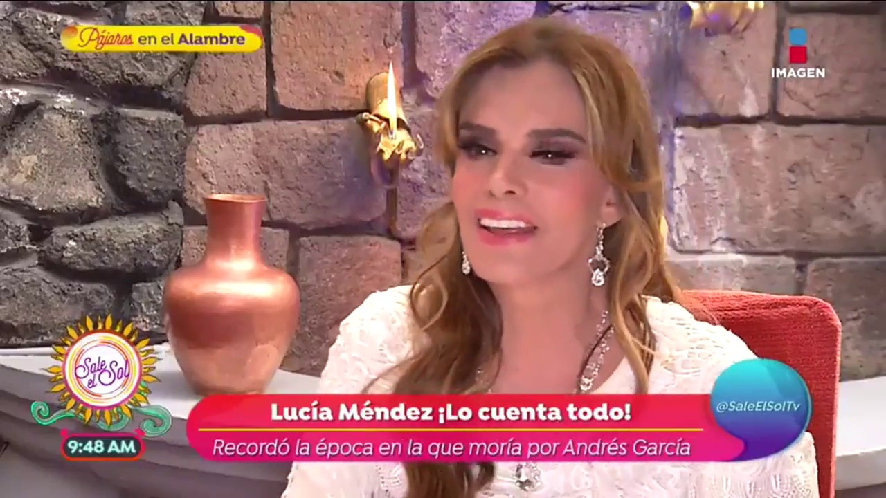 ¡Lucía Méndez cuenta todo lo que sucedió con Andrés García! | Sale el Sol