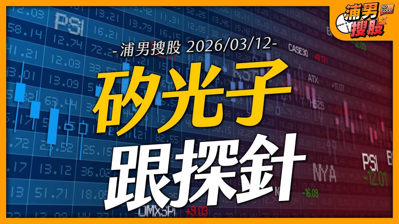 矽光子跟探針｜【浦男搜股】EP.256