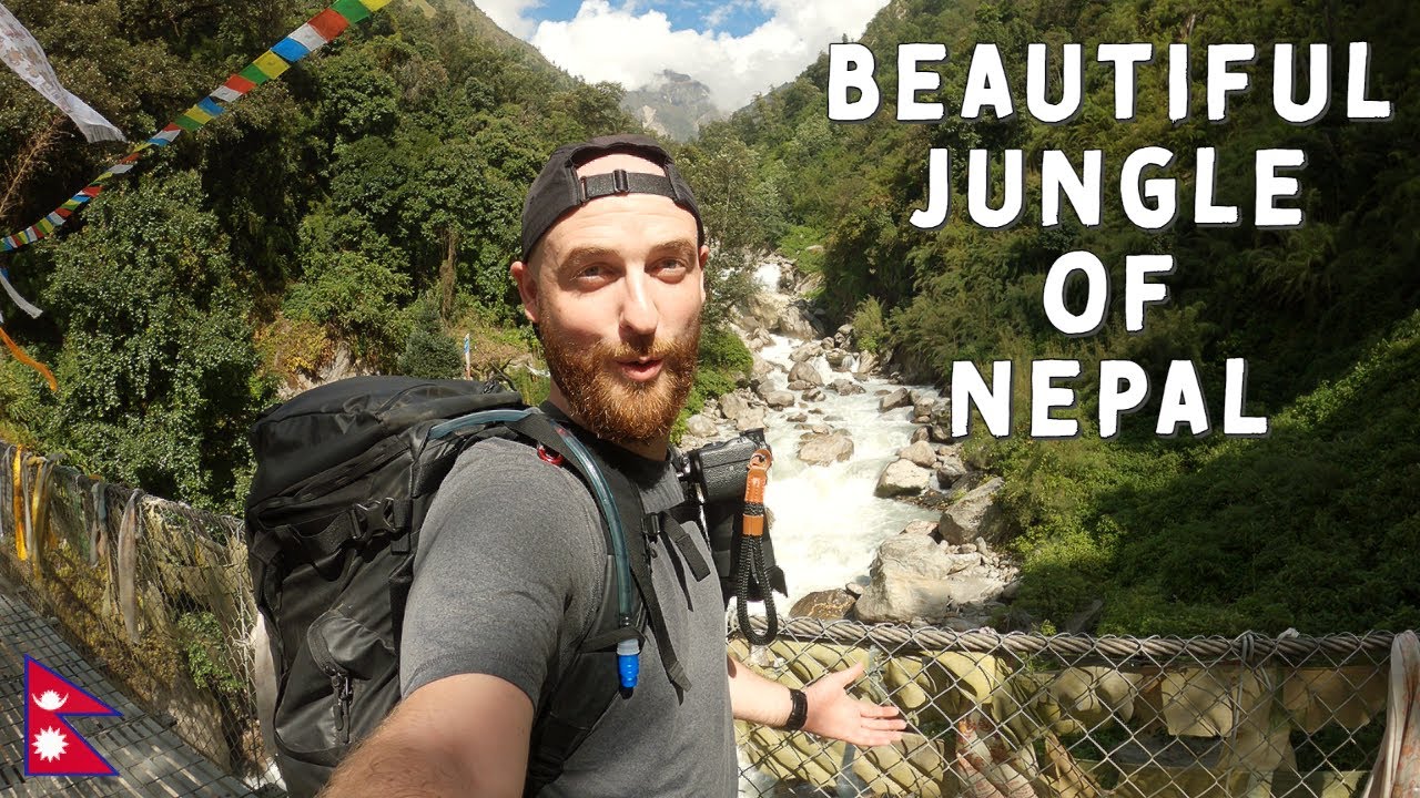 LOST (and found) in the JUNGLE of NEPAL 🇳🇵 - Langtang trek part 1