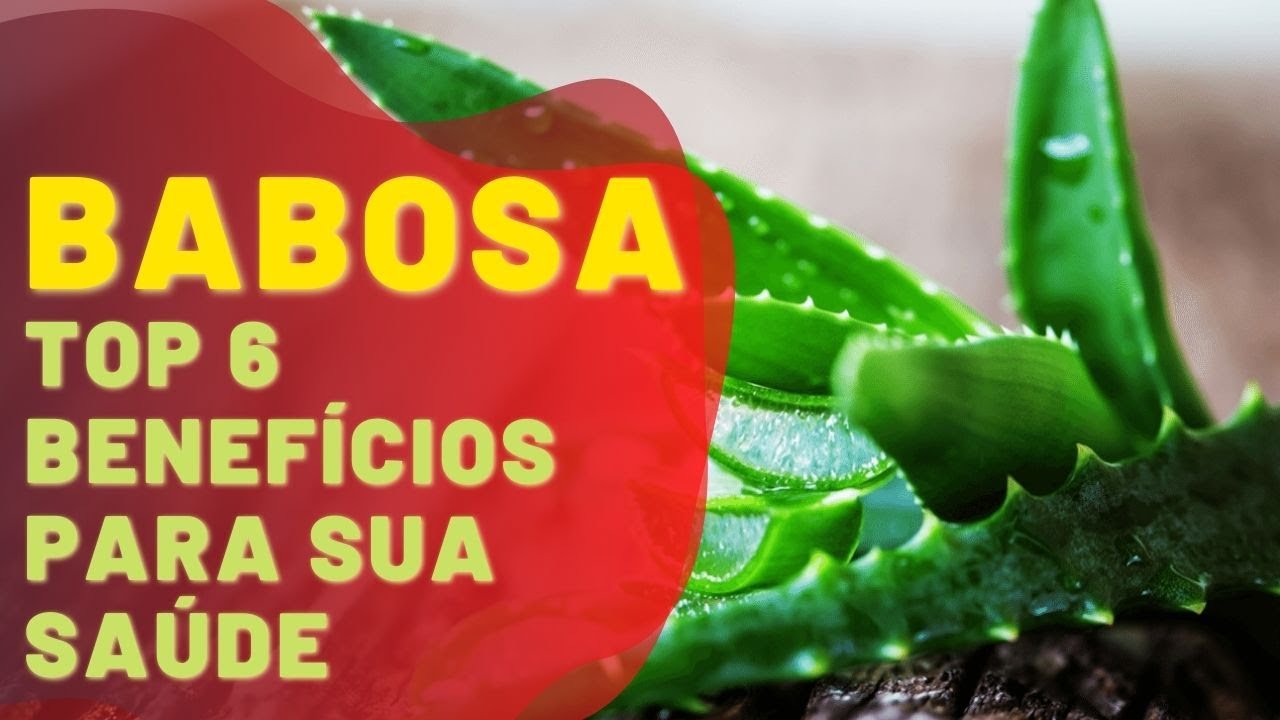6 Benefícios da Babosa para Pele e Cabelo!