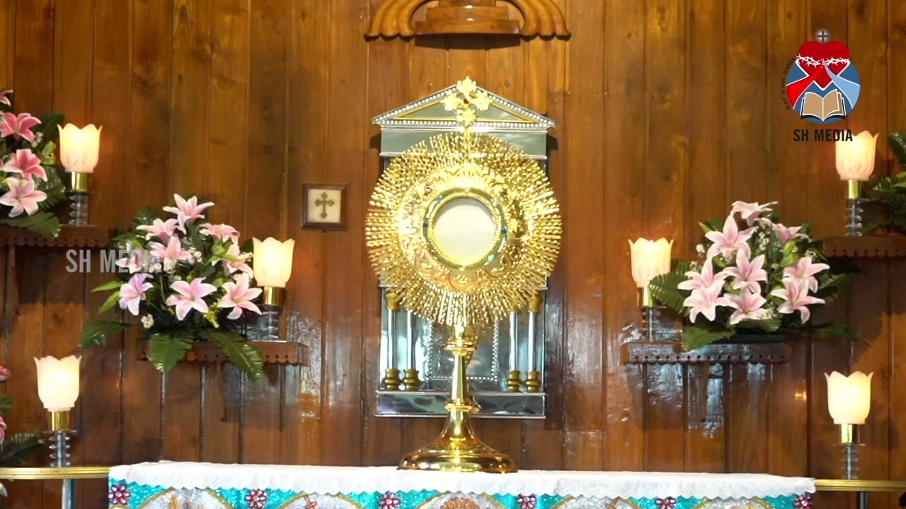 തിരുമണിക്കൂർ  ദിവ്യകാരുണ്യ സന്നിധിയിൽ | 13-02-2026 | SH Media Pala