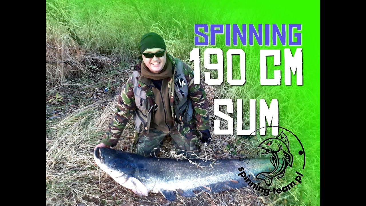 SUM na spinning rzeka Bug | życi&oacute;wka 190cm | łowiska Lubelskie | PZW Chełm