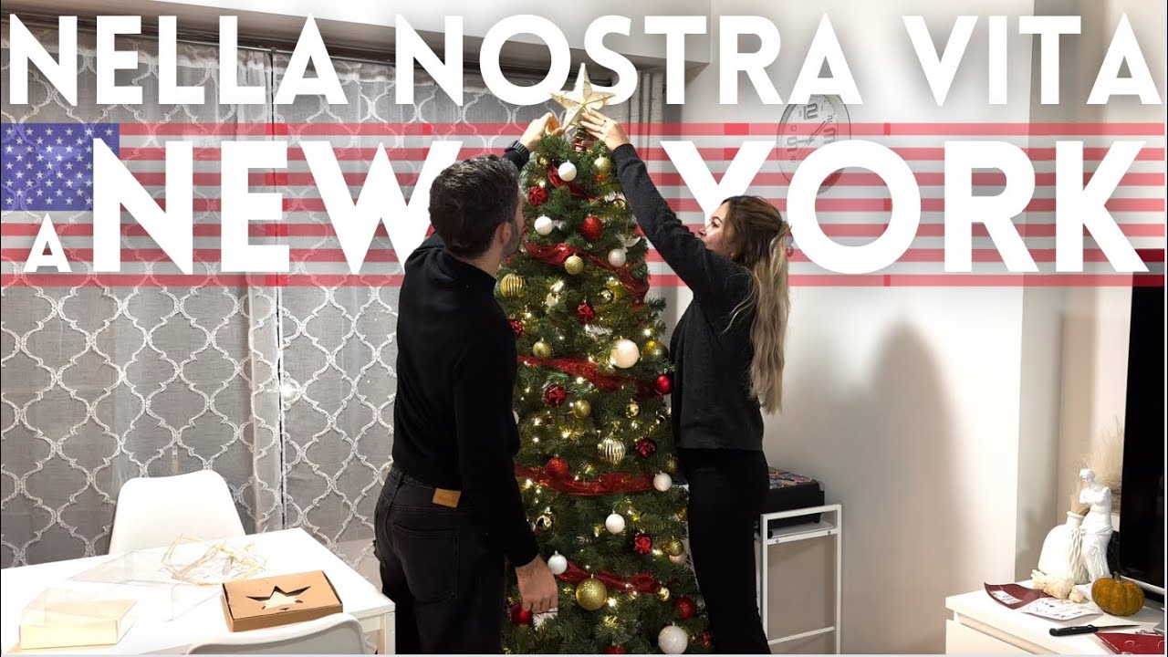 UN GIORNO NELLA NOSTRA VITA A NEW YORK🇺🇸 Shopping natalizio e facciamo l'albero di natale