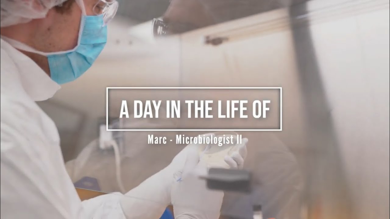 A day in the life - Microbiology