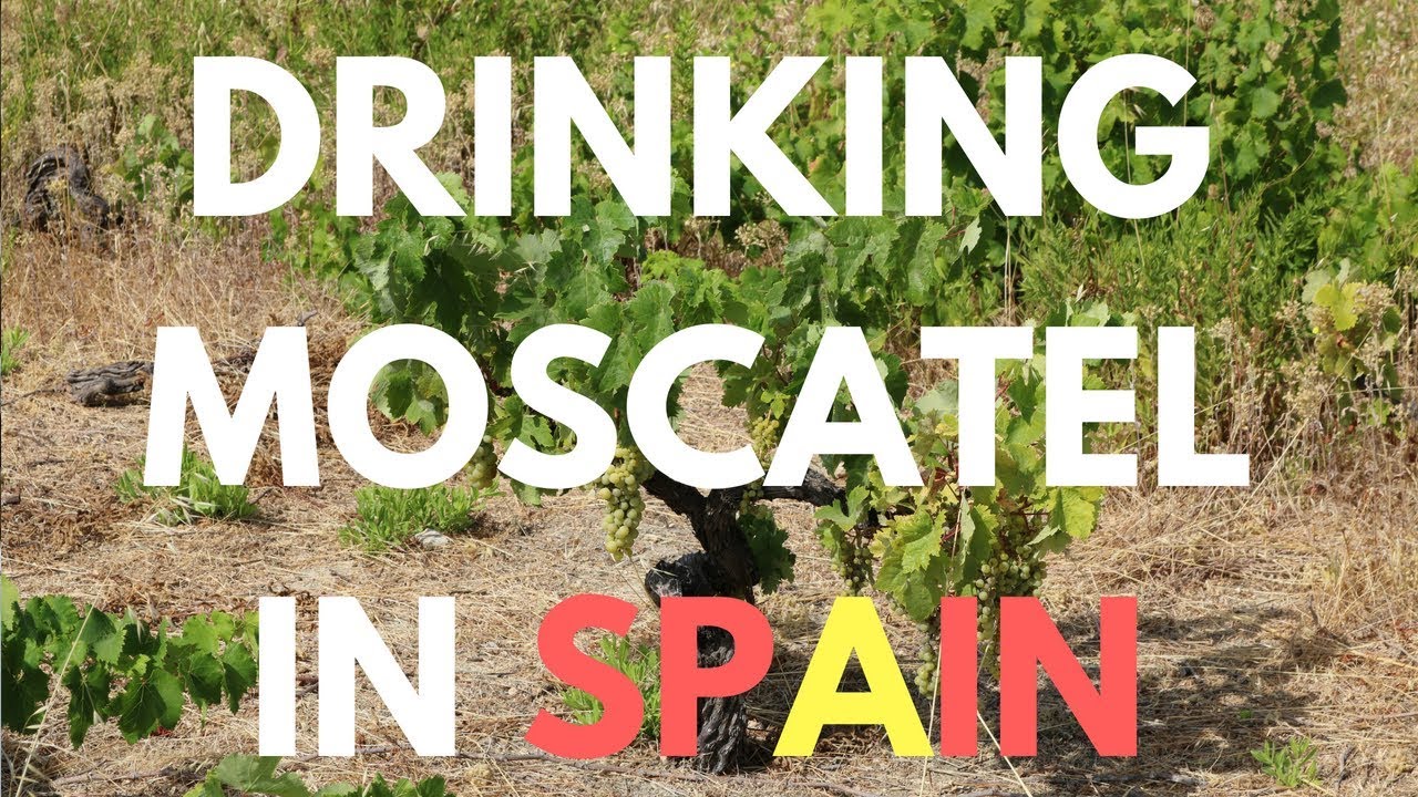 Drinking Moscatel in Spain - Sweet Wine review and tasting