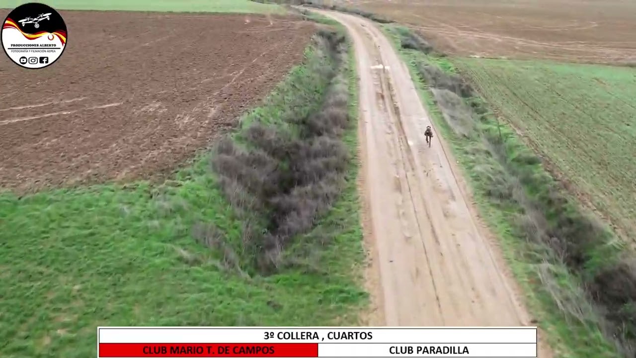 XXI EDICION DE LA COPA DIPUTACION DE PALENCIA DE GALGOS EN CAMPO