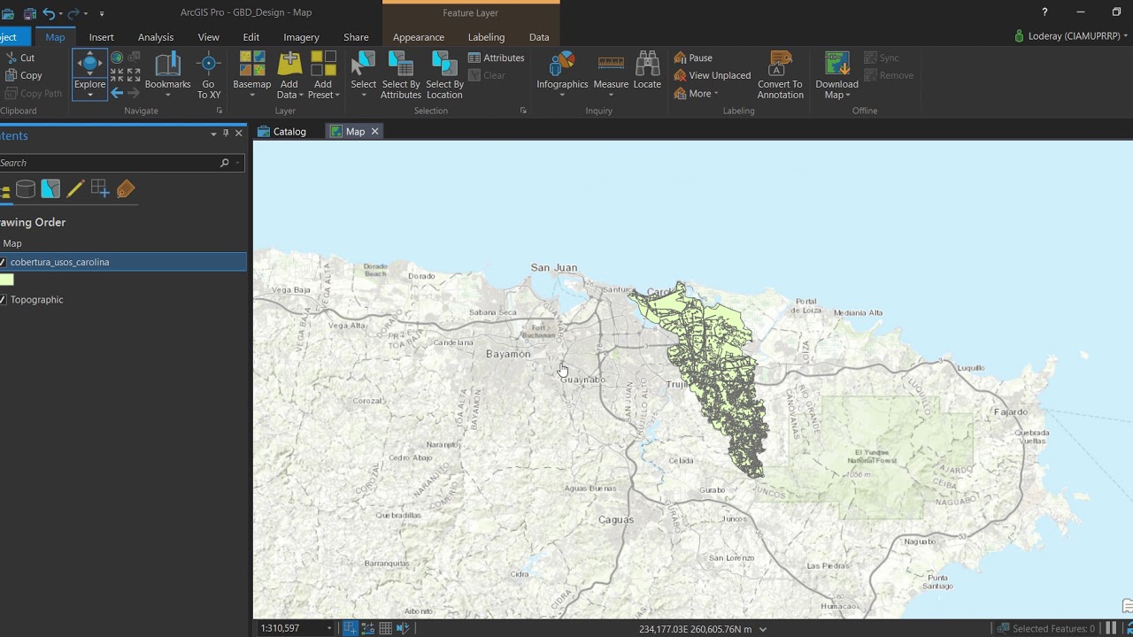 Cómo crear subtipos y dominios en ArcGIS Pro (1)