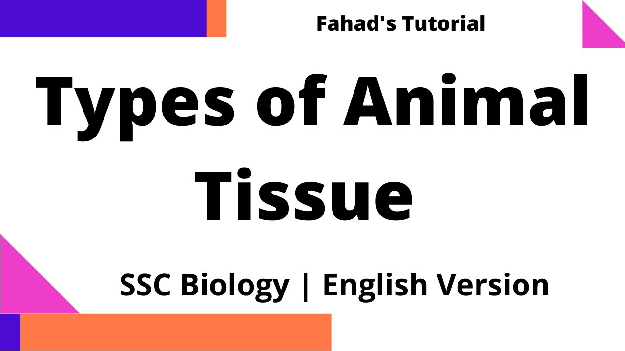 Types of Animal Tissue | SSC Biology Chapter 2 | English Version | Fahad's Tutorial