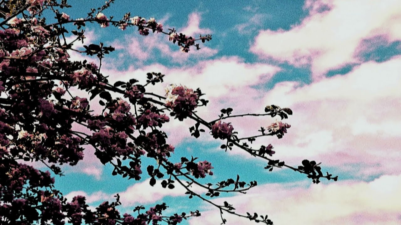 [FREE] Indie Rock X No Vacation X Jaden Smith X Bedroom X Wallows Type Beat - 