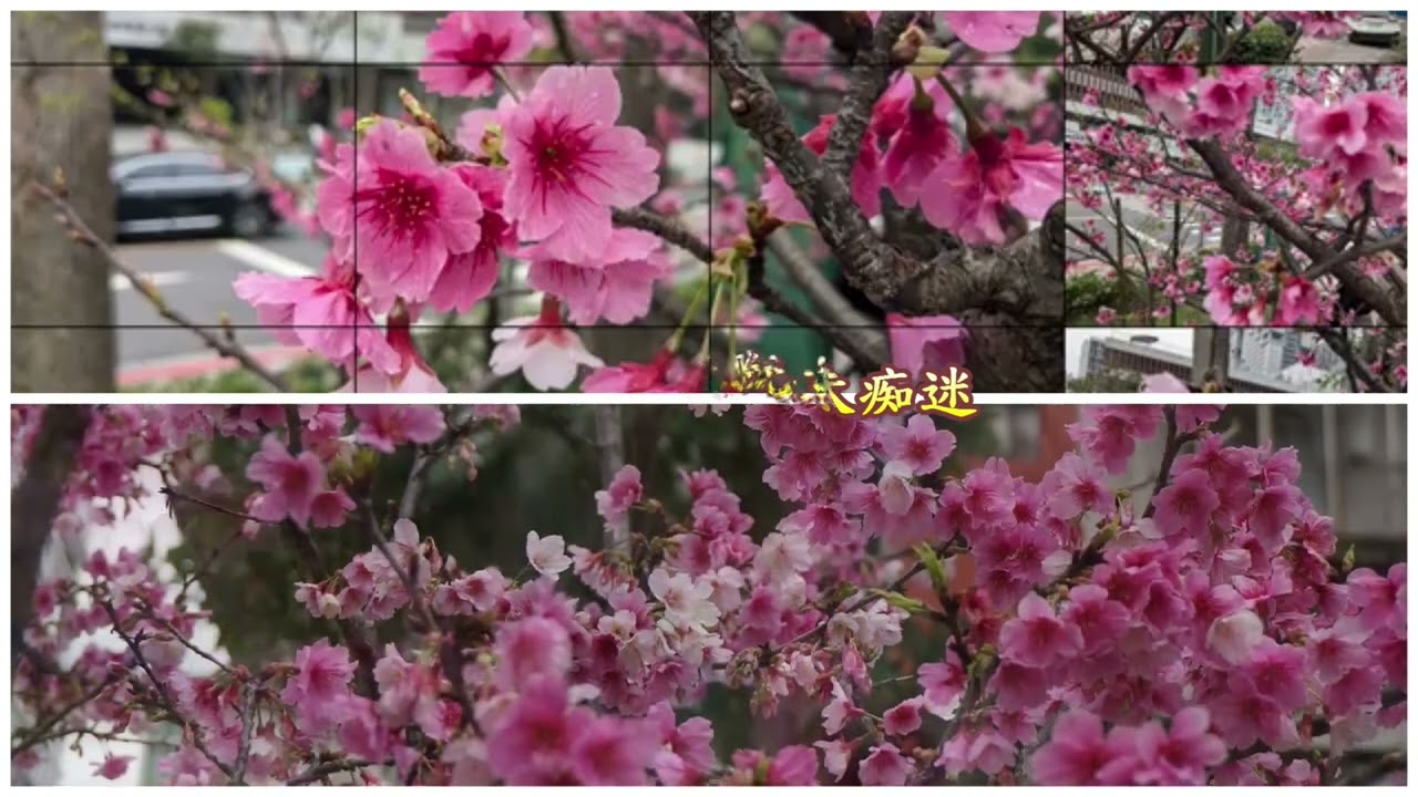福德公園（風中的批）雙機製作