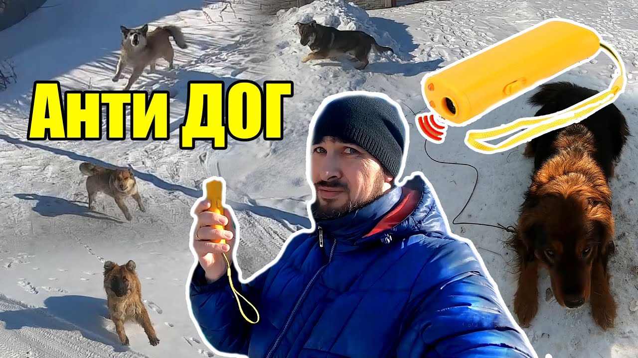 Отпугиватель собак | Анти Dog | Собрал всех собак