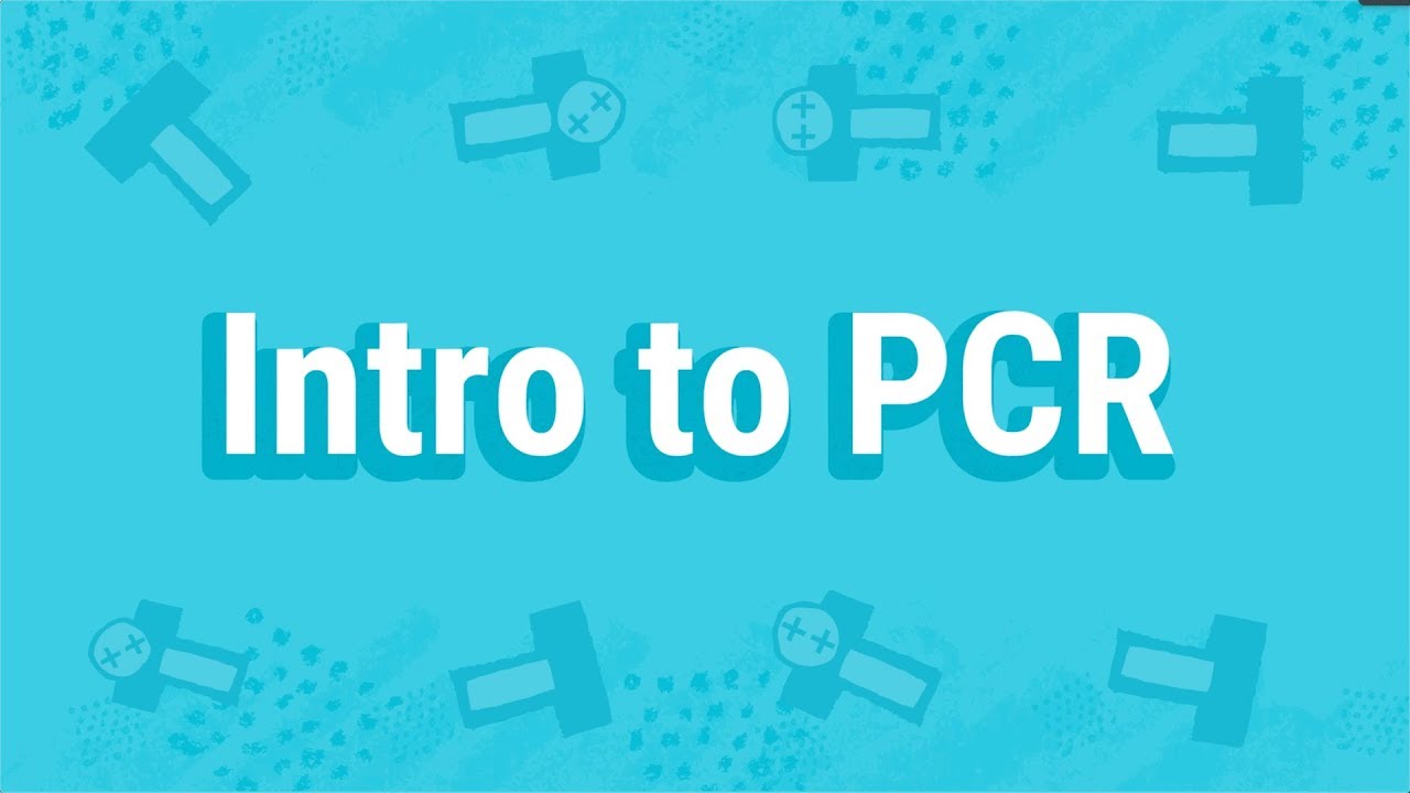 What is Polymerase Chain Reaction (PCR)?