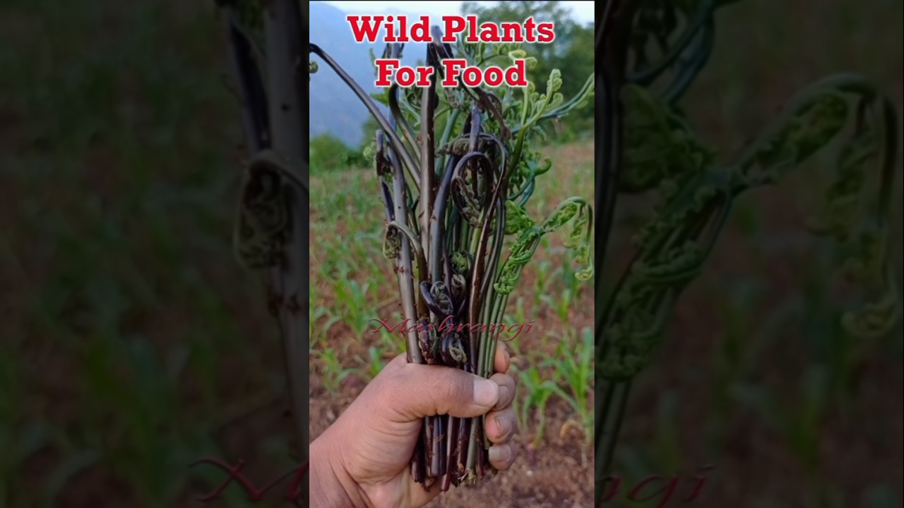 Surviving On Wild Edible Plants