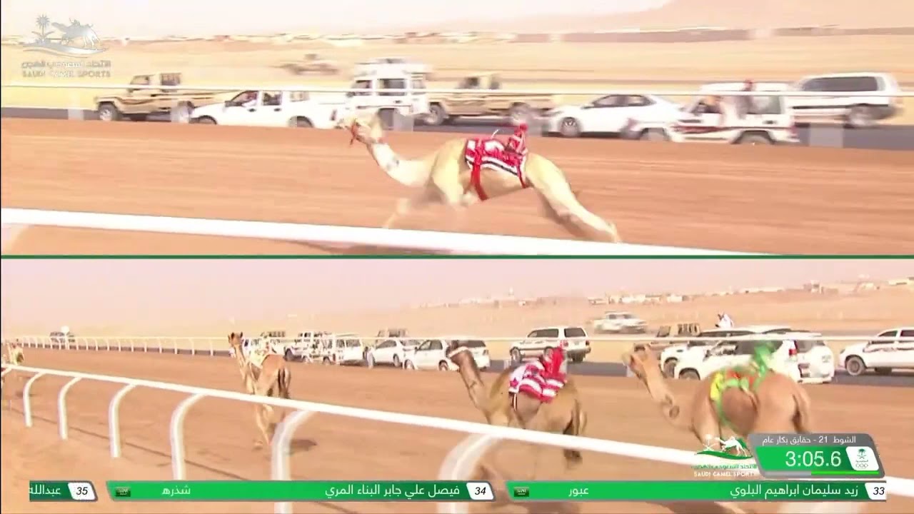 الشوط 21 حقايق بكار عام صباح يوم الاثنين 1-11-2021 من #كأس_الأولمبية_السعودية_للهجن