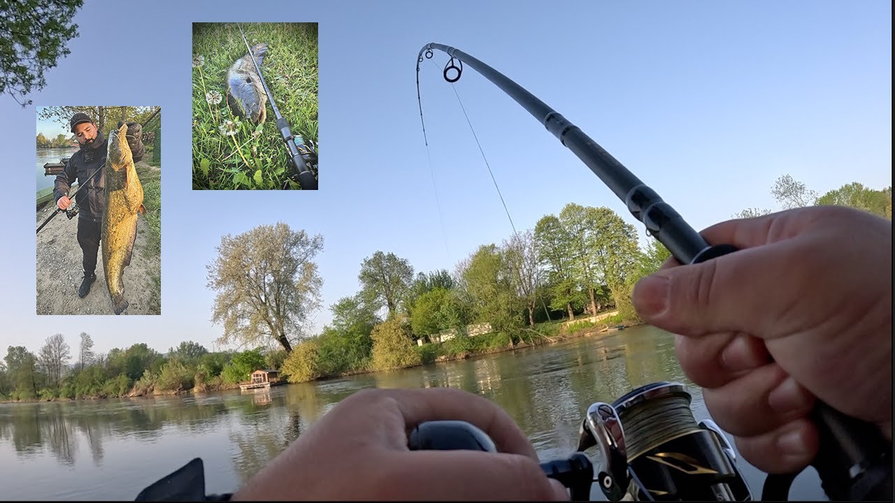 Moj novi stap za soma. Overen! Lep som za kraj prvog poluvremena | Catfish fishing | Westin W3