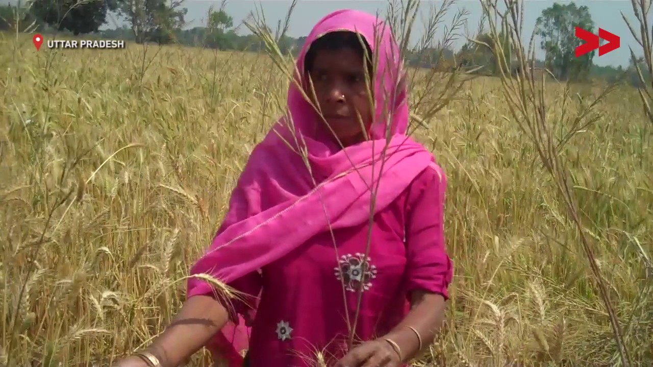 Woman Fights For Her Rights | Raeesh reports for IndiaUnheard