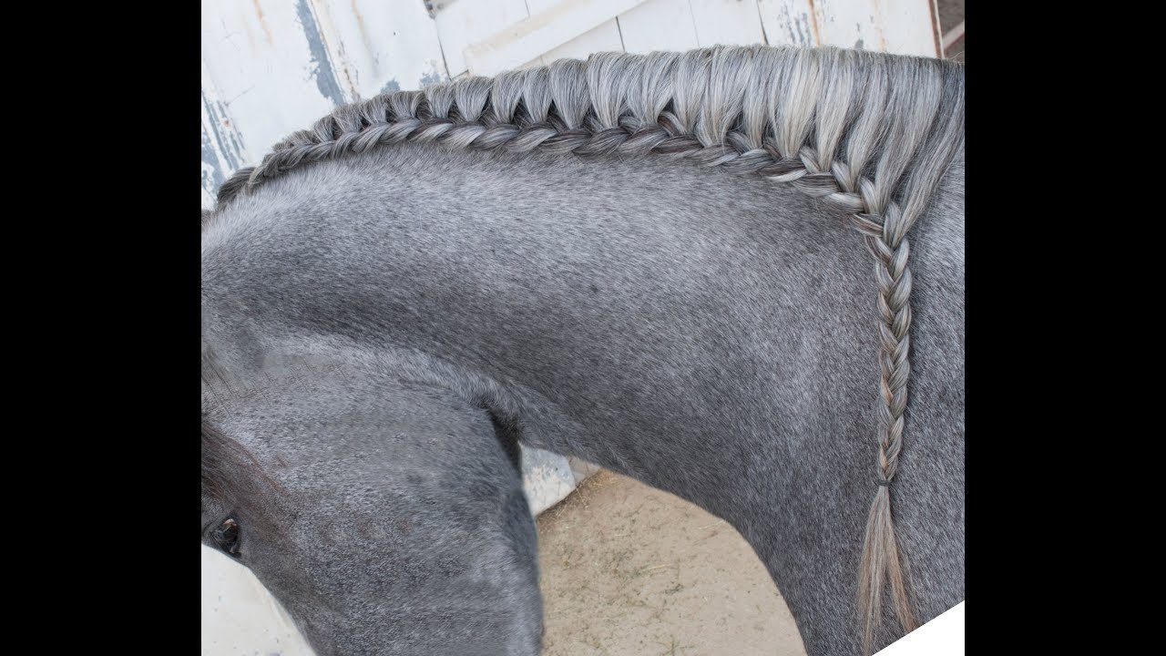 How to do a Running Braid on your Horse