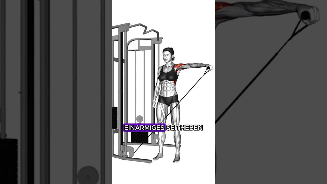 2er Split Trainingsplan - Tag 1 Push #pushday #trainingsplan #brusttraining