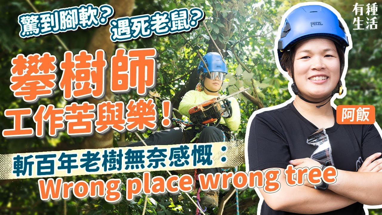 女攀樹師工作苦與樂！驚到腳軟唔識郁、遇死老鼠屍水點克服？斬百年老樹感慨Wrong place wrong tree！修樹師謹慎落每一刀：樹木都有生命！| 人物專訪 | 25度生活