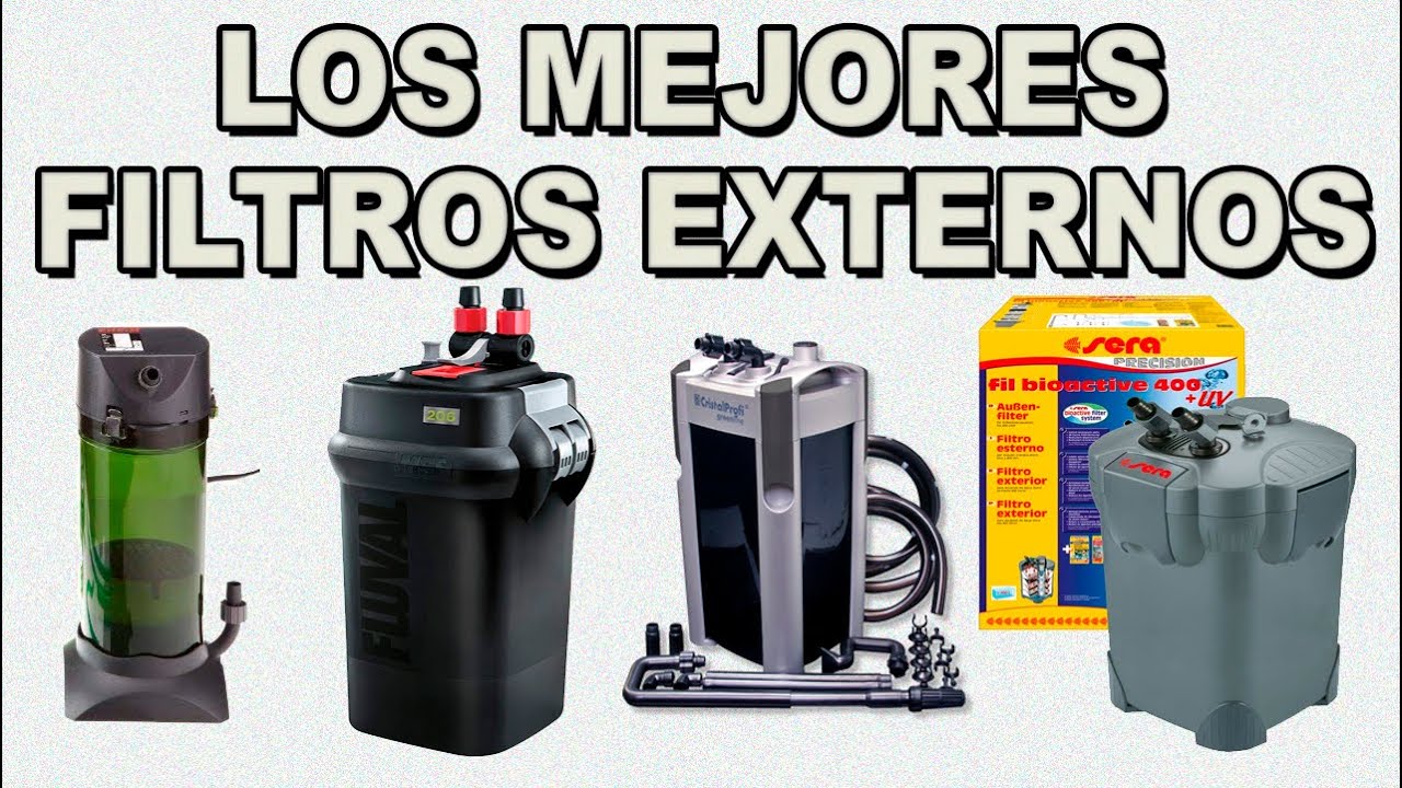 Que filtro poner en mi acuario | Guía comparativa de los mejores filtros exteriores para acuario