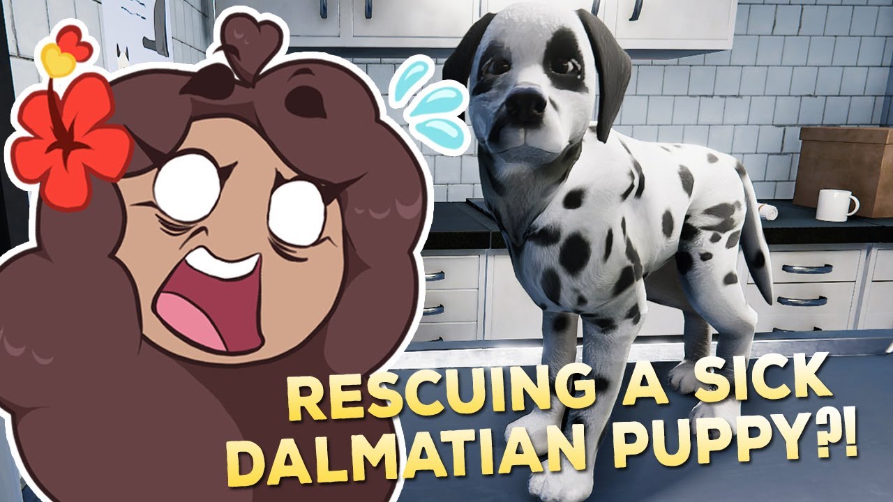 Rescuing a SICK Dalmatian Puppy?! We Need a Vet!! 🐶🩹 Animal Shelter Simulator • #4