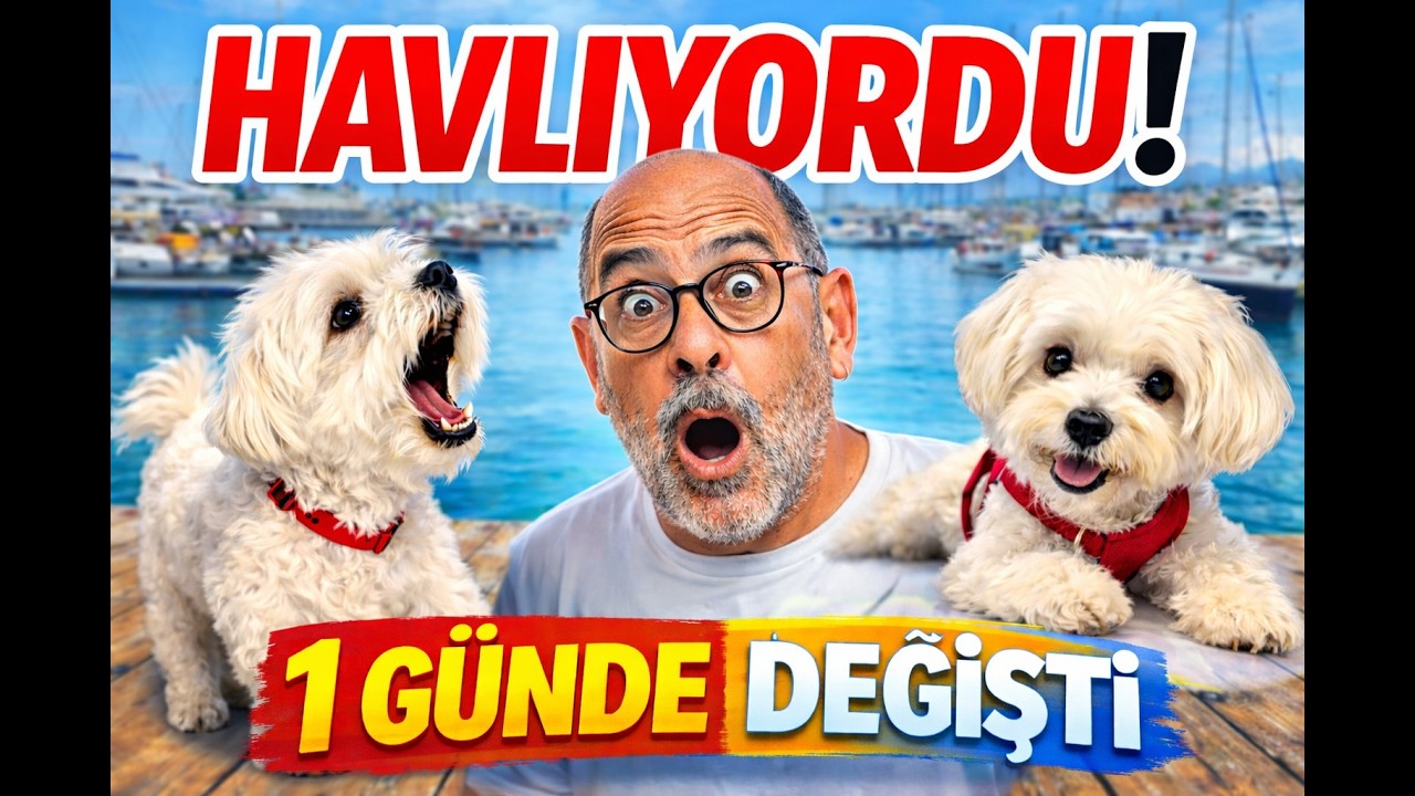 Köpeğimiz Marina’yı Ayağa Kaldırıyordu! (1 Günde Ne Değişti?) (B.30)