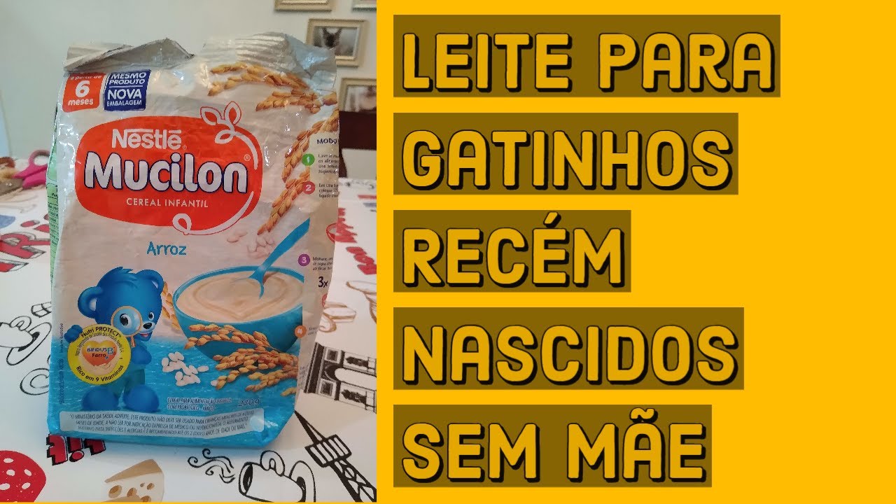 Leite para gatinho recém nascido sem mãe