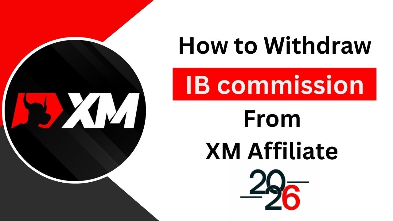 How to Transfer XM IB Commission to Your Account ! IB program india #trading #xm #binance