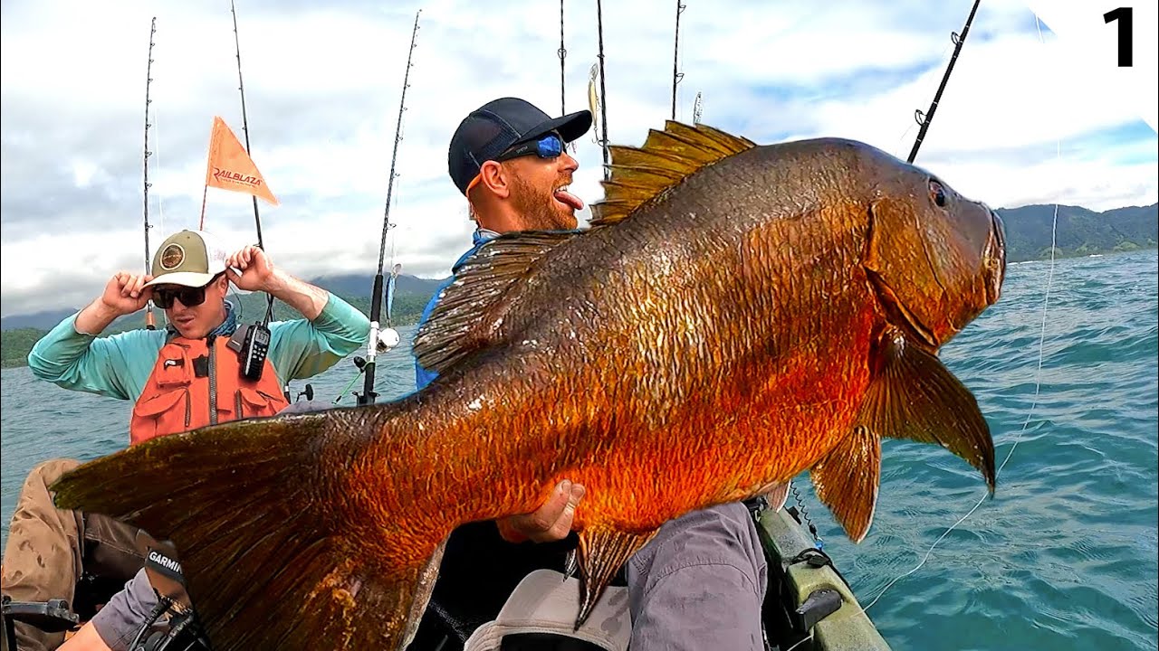 Kayak Fishing for Offshore MONSTERS with HUGE Live Baits (Pt 1 of 2) | Field Trips Panama