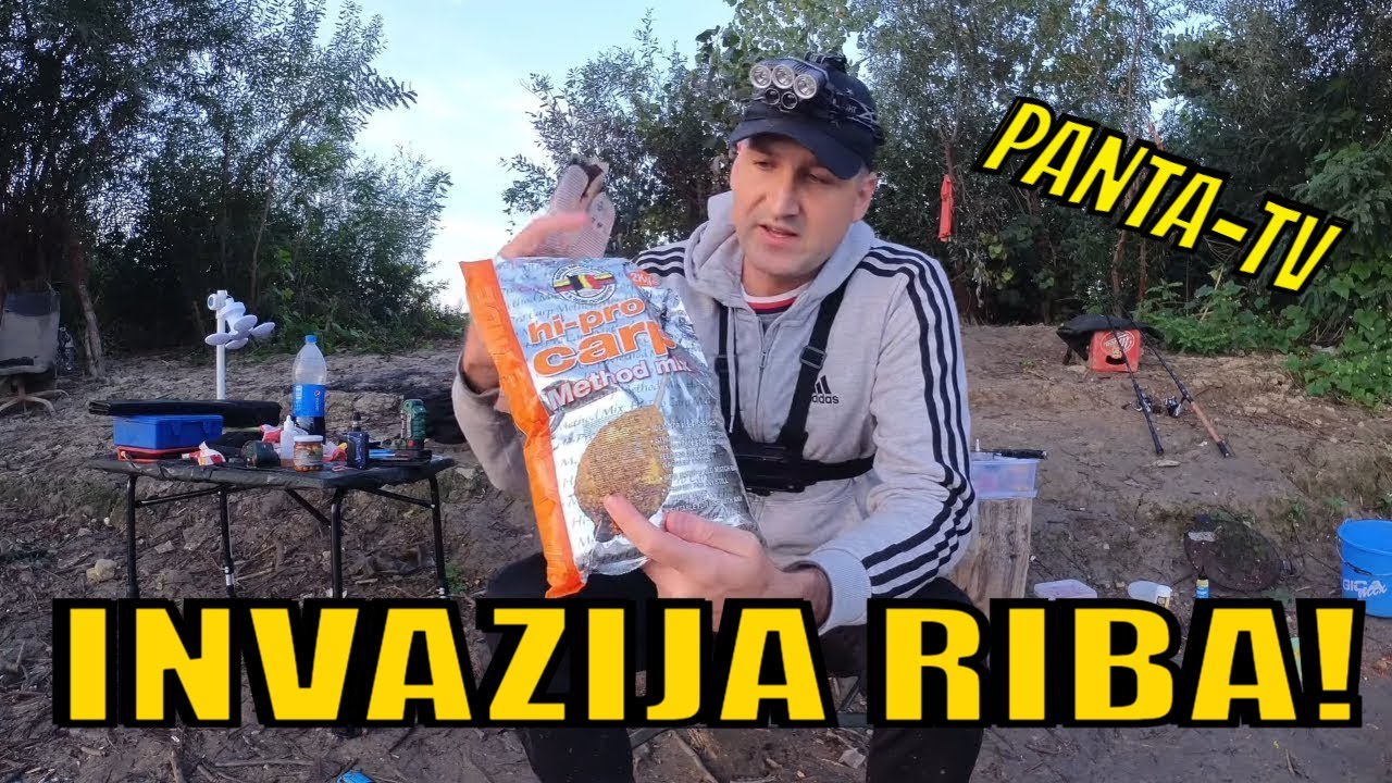 Invazija riba !🐟 Neverovatan feeder ribolov na reci Savi! 🎣 Panta-TV