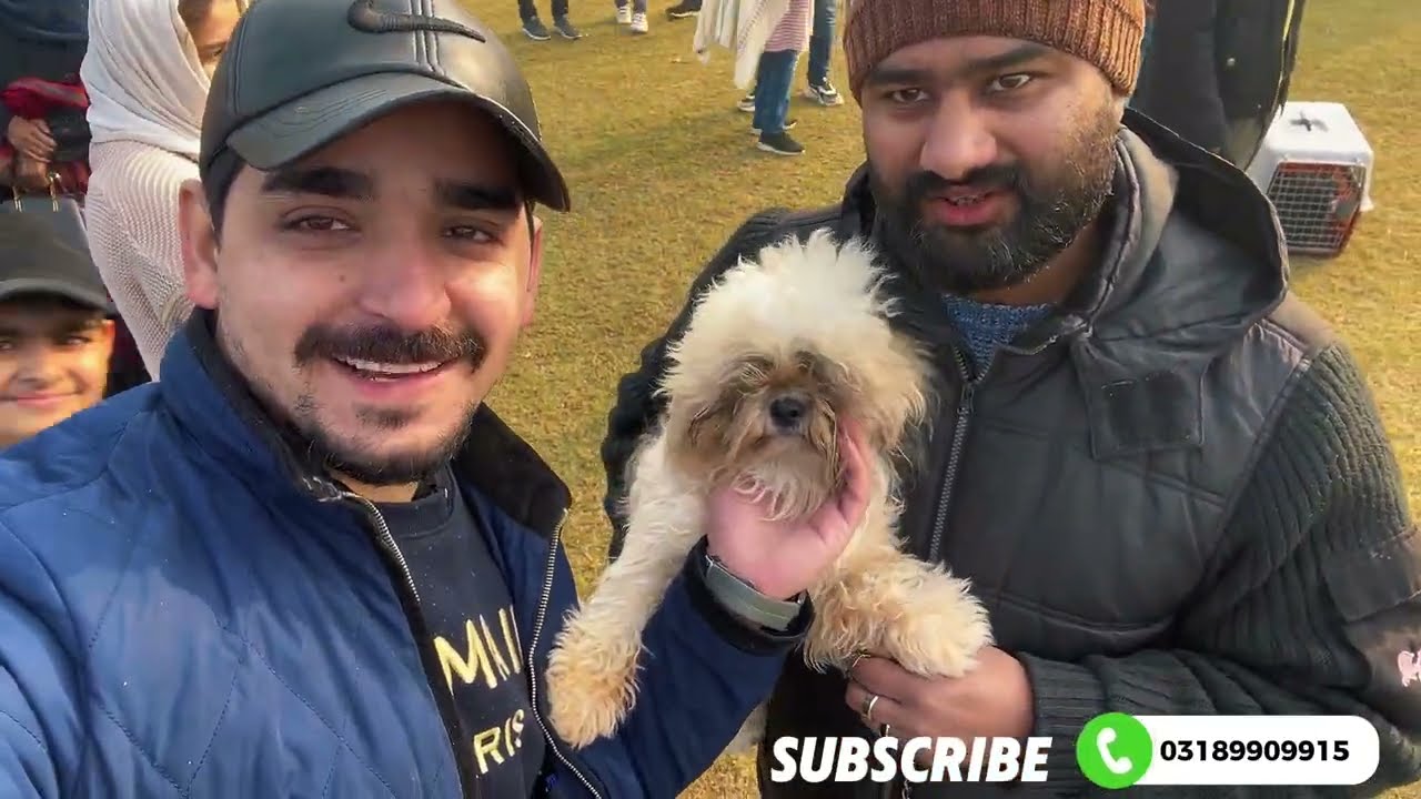 ￼Dog Show in Race Course Lahore 2026 By Zairypets 